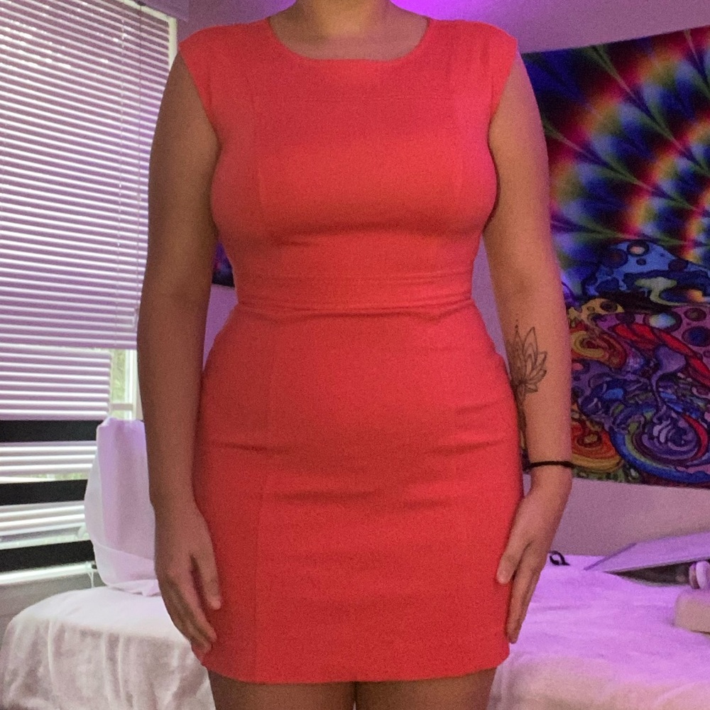 Ann Taylor Dress